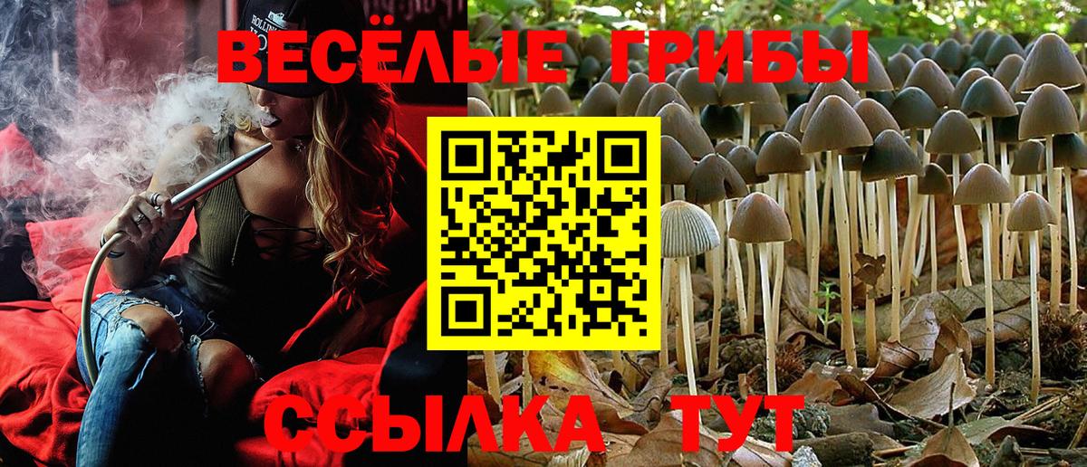 Псилоцибиновые грибы ЛСД Омск