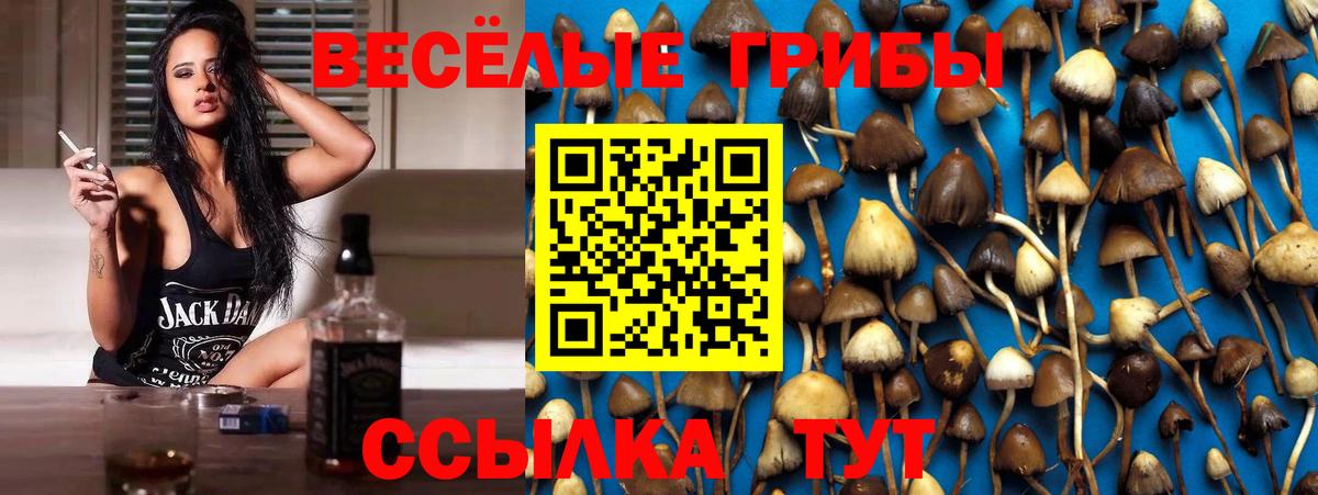 Псилоцибиновые грибы GOLDEN TEACHER  Вход с VPN  Омск 
